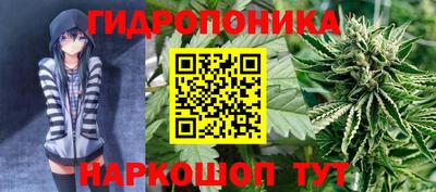 сатива Гусь-Хрустальный