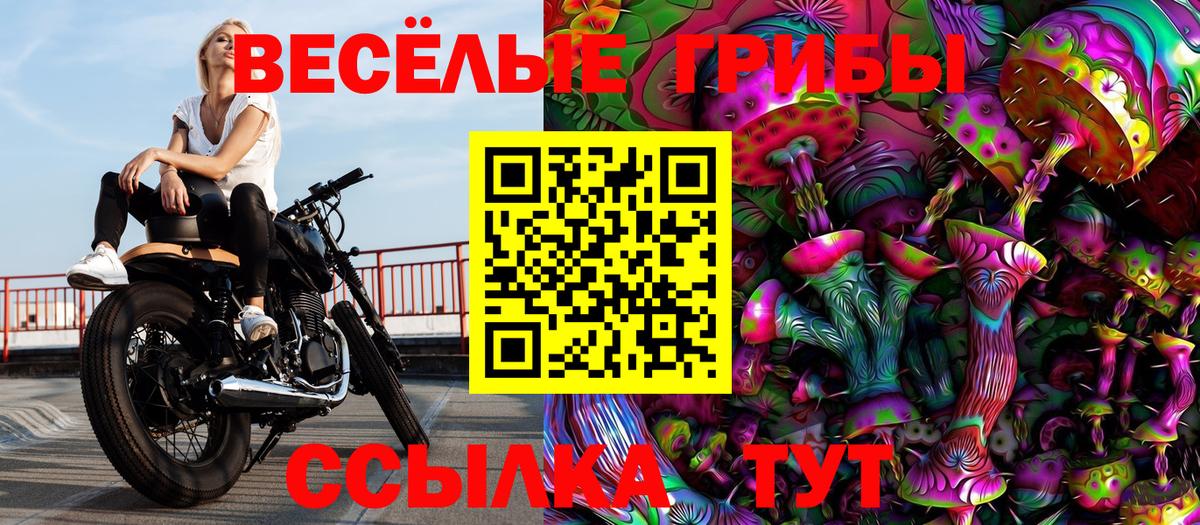 Галлюциногенные грибы Psilocybine cubensis  Вход с VPN  Нальчик 