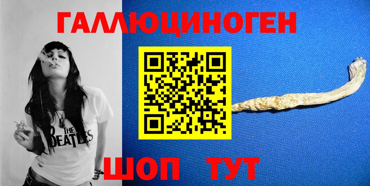 Галлюциногенные грибы Psilocybine cubensis Нальчик